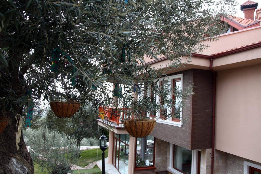 Aeneas Hotel Altinoluk Exterior photo